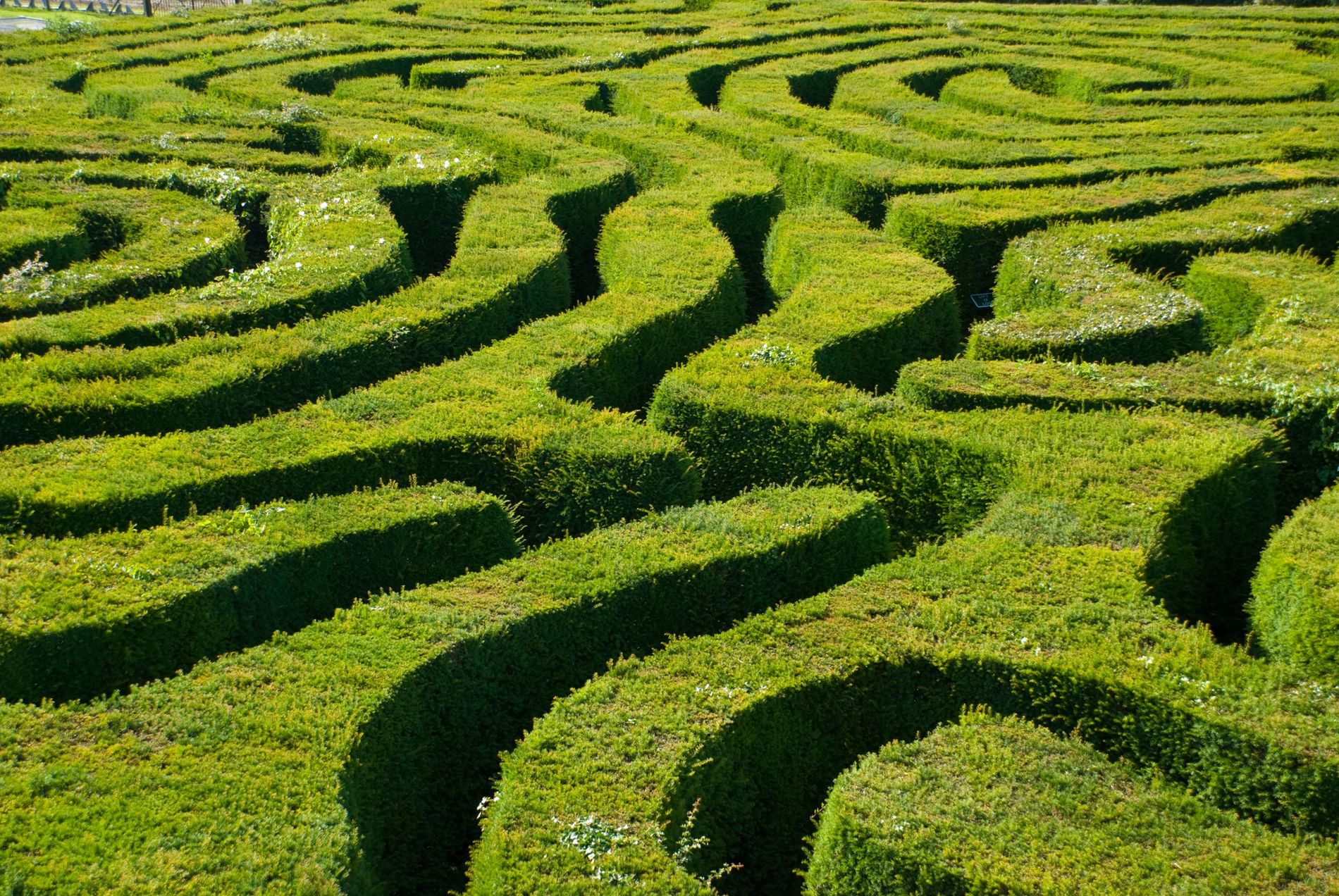 Lost in Labyrinths: My Maze Adventure